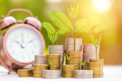 loan management system