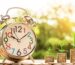 loan management system software